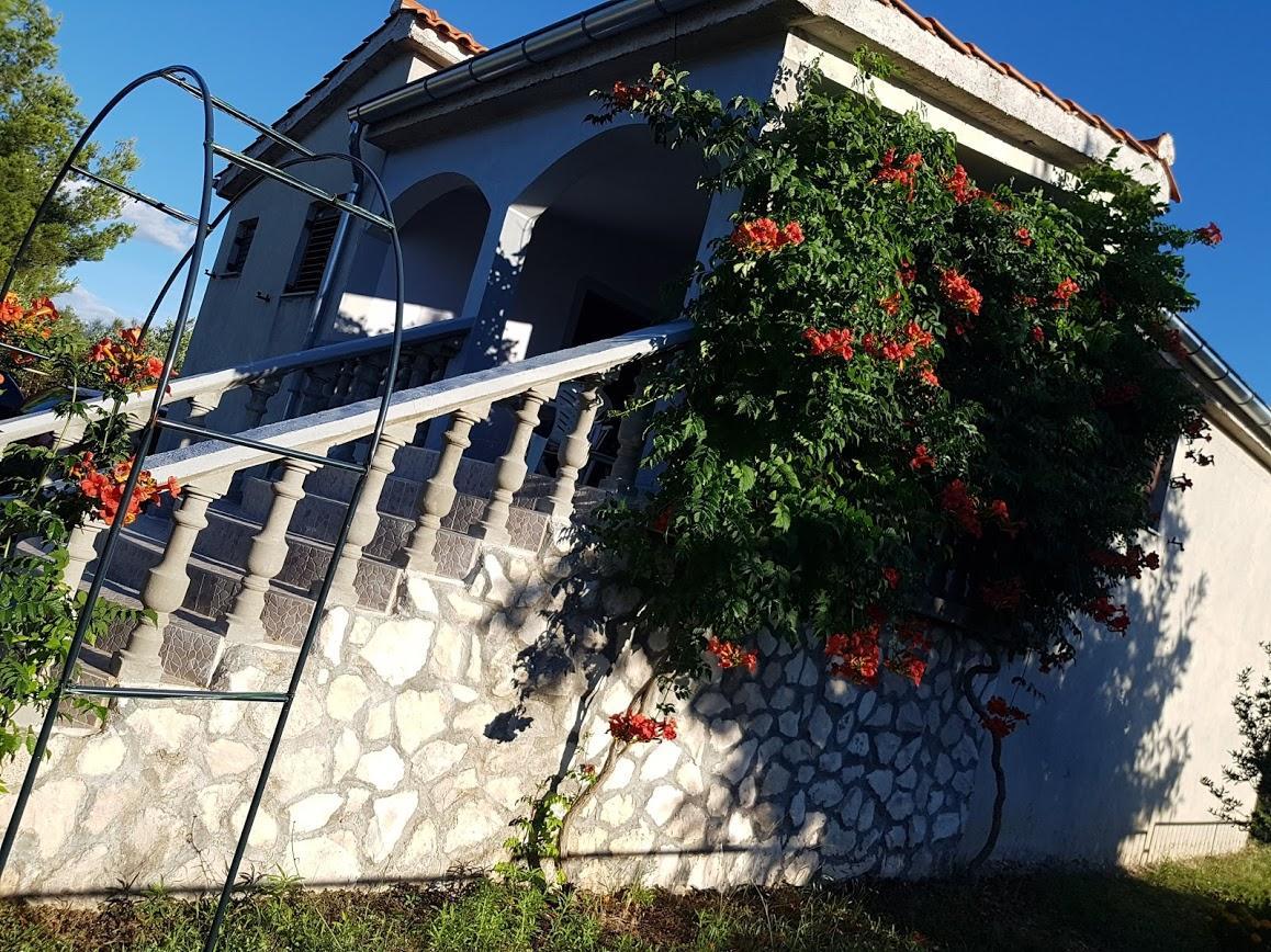 Maslina Apartment Jadrtovac Exterior foto